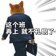 直到世界尽头tk的个人资料头像