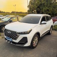 新手虎七老郑头像