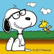 艾瑞斯的个人资料头像