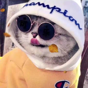 Amin的个人资料头像