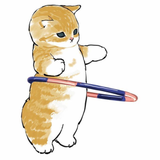 老猫驿站头像