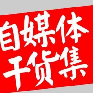 半仙创作者自媒体团队头像