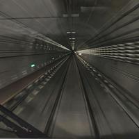 水岸小白龙头像