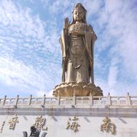 陈哥头像