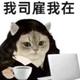 高启强他哥头像