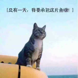 一个游戏77头像
