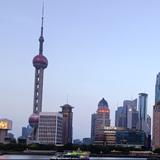 时髦熊猫Fx6头像