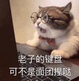 这个号app头像