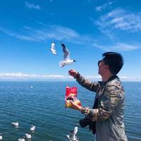 无系之舟头像