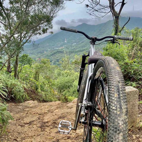 极限Danhaolin头像