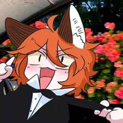 小胡今天敲代码了么的个人资料头像