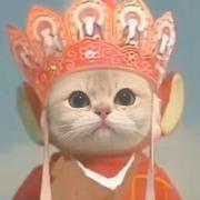 科目三考七次的个人资料头像