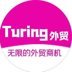 Turing外贸头像