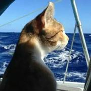 fairytail的个人资料头像