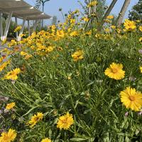 用户1129366314513头像