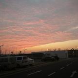 明月清风。头像