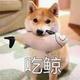 瑞虎7788 · 瑞虎8车主·车龄3年头像