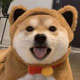 用户842494687413头像