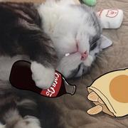 吉川春代的个人资料头像