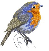 麻雀win的个人资料头像