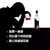风向决定发型2263头像