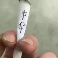 端庄优雅火车f9头像
