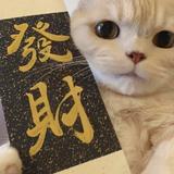 甜蜜的大烧饼头像