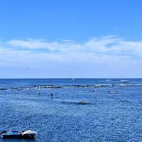 秋天是冷天头像