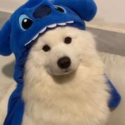 双木雨的个人资料头像