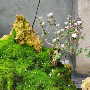悠闲大海1W2头像