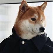 same的个人资料头像