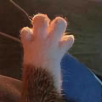 小张依然在努力头像