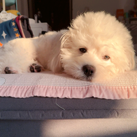 上进星辰x0Z头像