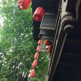 海洋2456160908845头像