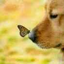 牧心00的个人资料头像