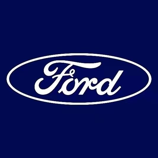 泰州天安达福特头像