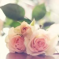 凡人凡事碎碎念头像