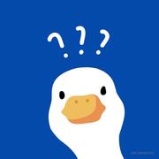 Hollis_Zheng的个人资料头像