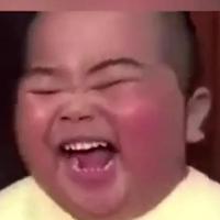 贝尔一狼头像