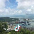 上海垚炎劳务派遣有限公司头像