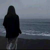 端庄铅笔N4X头像