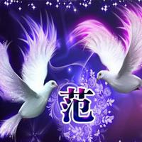 云端的客770头像