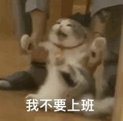 ydy的个人资料头像