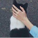 233的个人资料头像