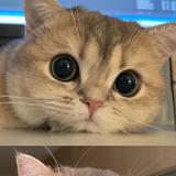 用户4744488046245头像