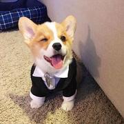 一伦的个人资料头像