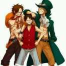 可乐爱学习52071的个人资料头像