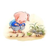 zcp617的个人资料头像