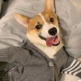 七分侥幸143头像