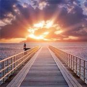 TBoy的个人资料头像